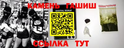 стаф Кингисепп
