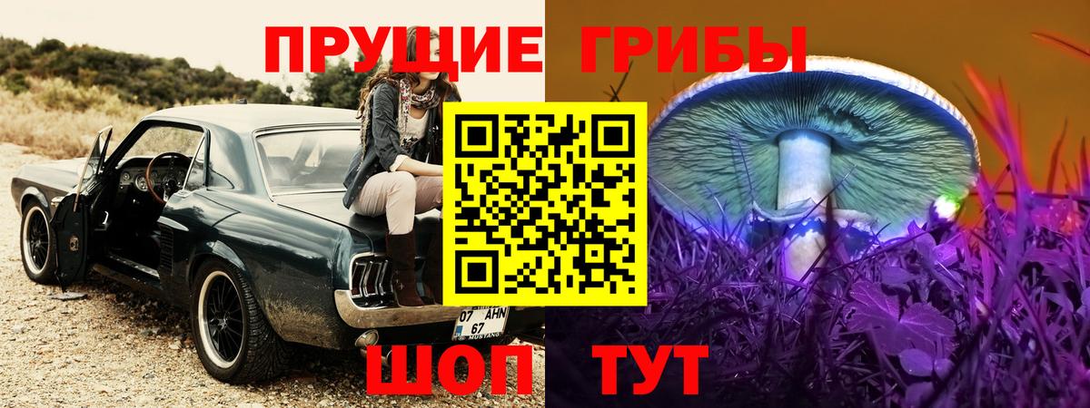 Псилоцибиновые грибы Cubensis Дальнереченск