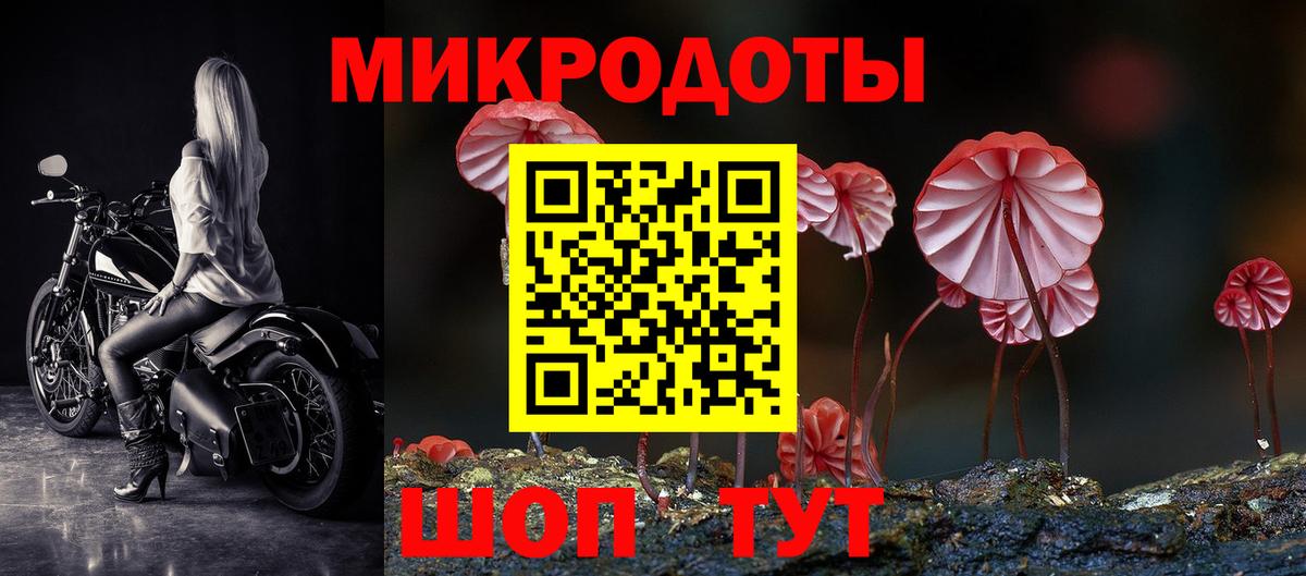 Дальнереченск  Галлюциногенные грибы Cubensis  Вход с VPN 